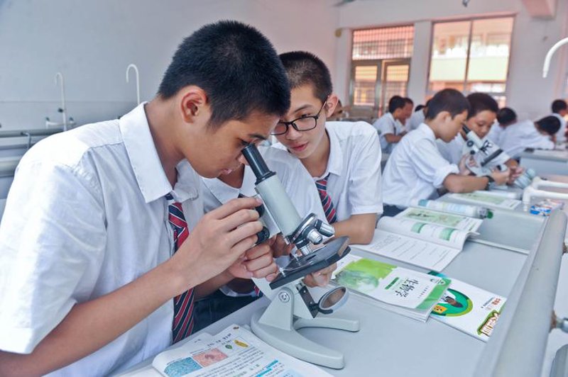 教育的绿洲:素质教育引领未来